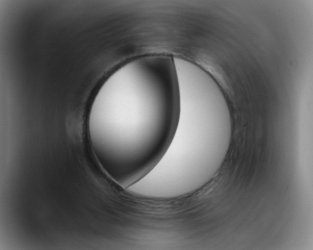 X0000090500156200707130955