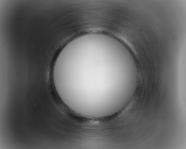 X0000090500159200707130956