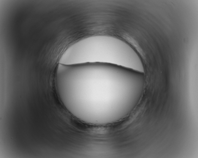 X0000090500161200707130956