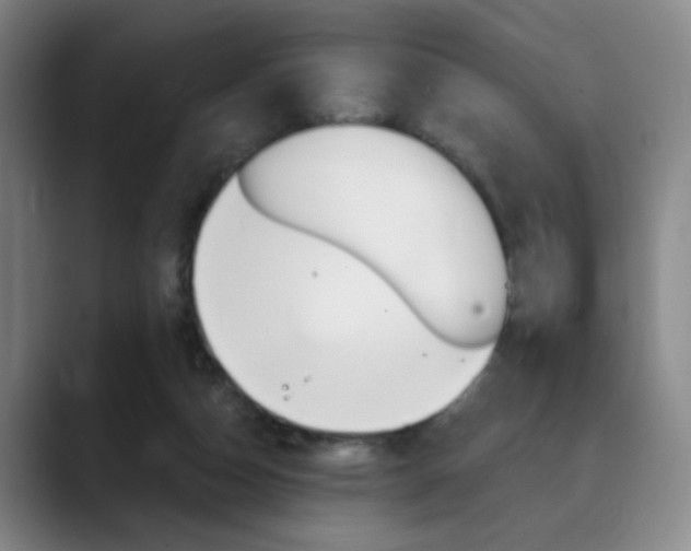 X0000090500162200707130956