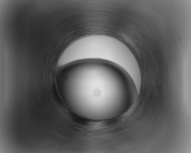 X0000090500170200707130956