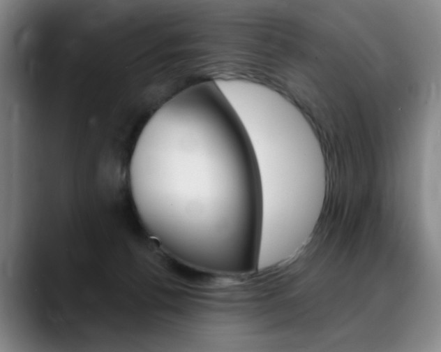 X0000090500176200707130956