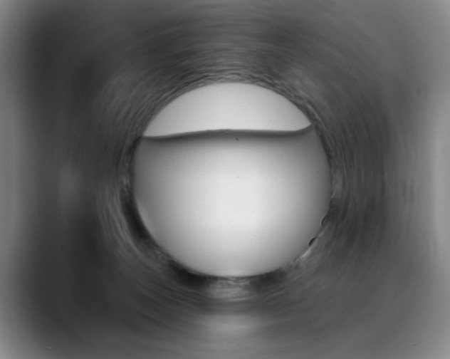 X0000090500179200707130956