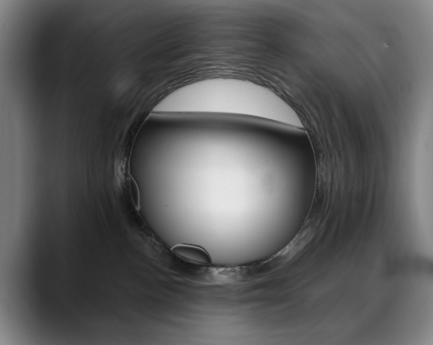 X0000090500188200707130956