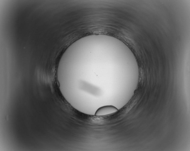 X0000090500189200707130956