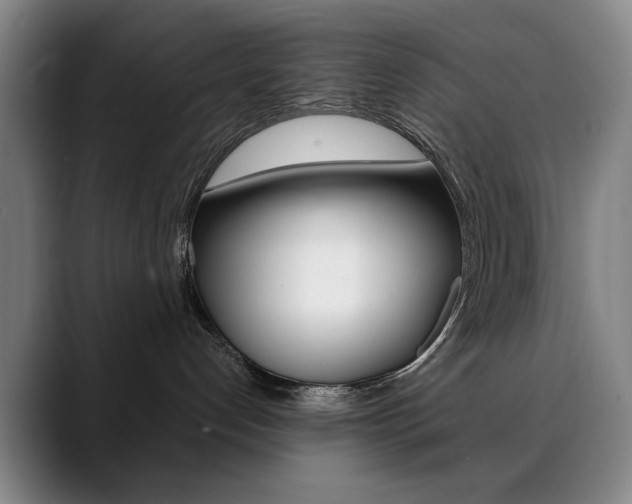 X0000090500192200707130956