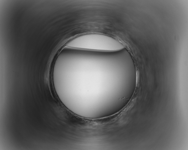 X0000090500195200707130955
