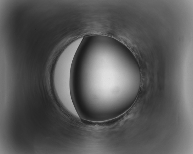 X0000090500197200707130955