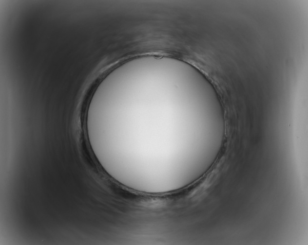 X0000090500198200707130955