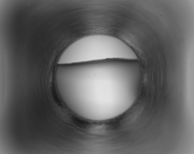X0000090500206200707130955
