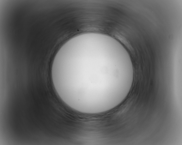 X0000090500207200707130955