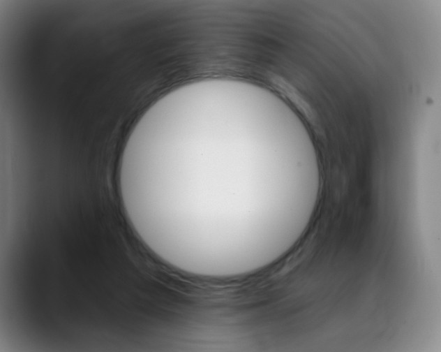 X0000090500209200707130955