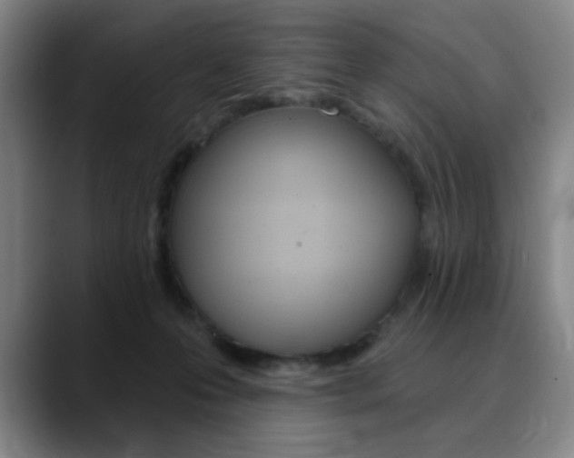 X0000090500223200707130955