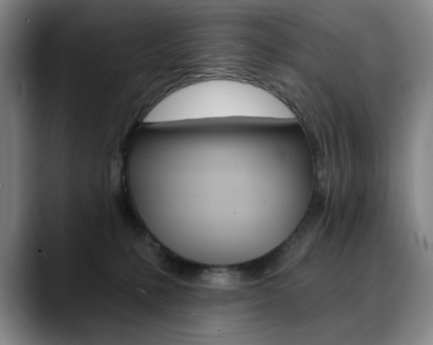 X0000090500231200707130955