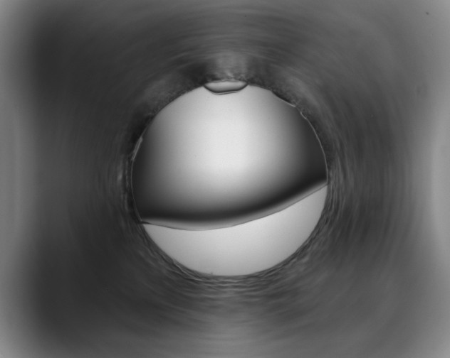 X0000090500233200707130955