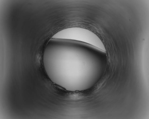 X0000090500235200707130955