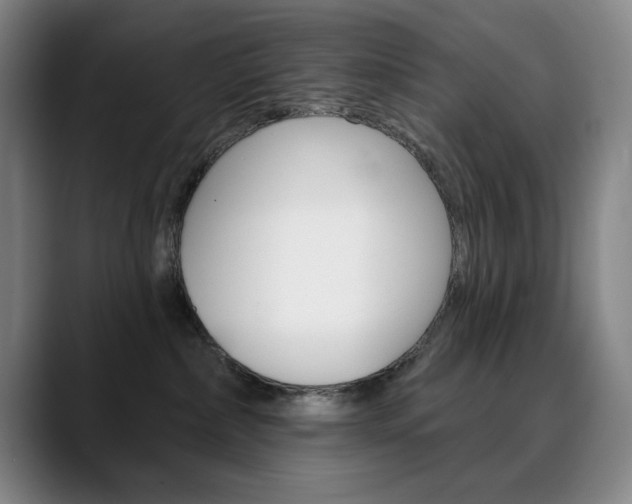 X0000090500236200707130955