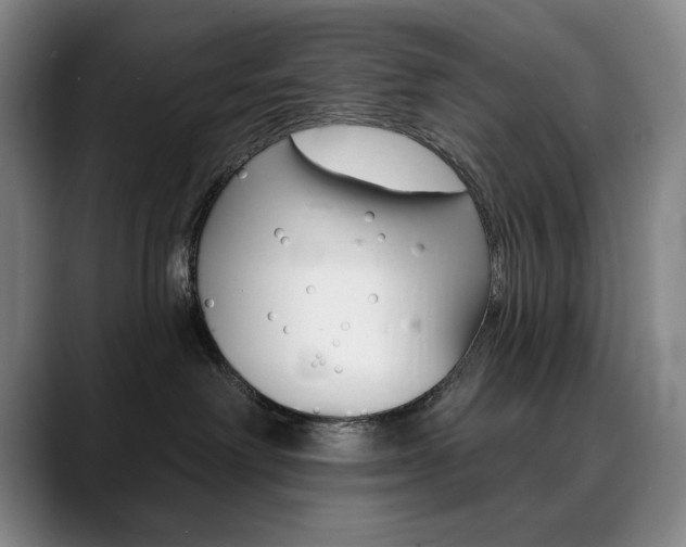 X0000090500238200707130955