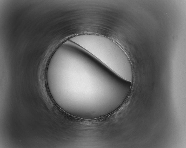 X0000090500241200707130954