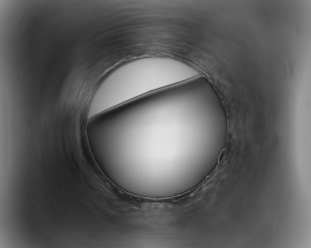 X0000090500242200707130954