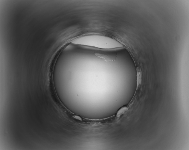X0000090500243200707130954