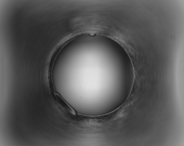 X0000090500244200707130954