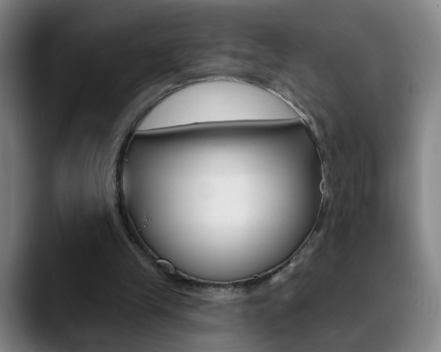X0000090500245200707130954
