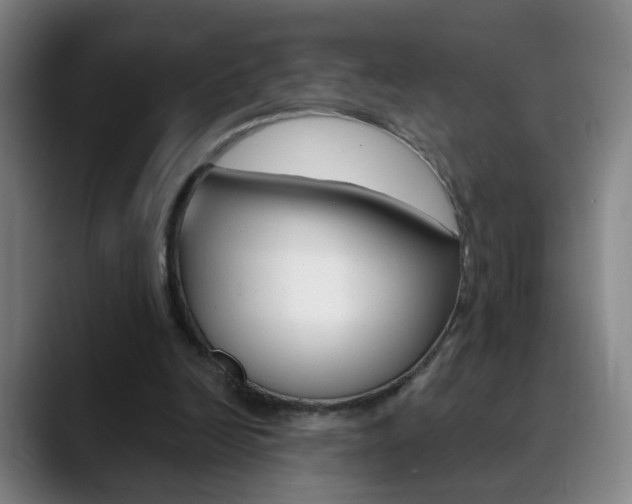 X0000090500246200707130954