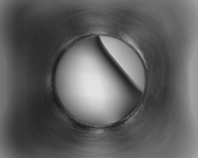 X0000090500249200707130954