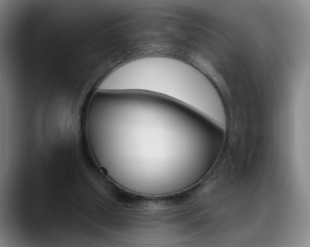 X0000090500250200707130954