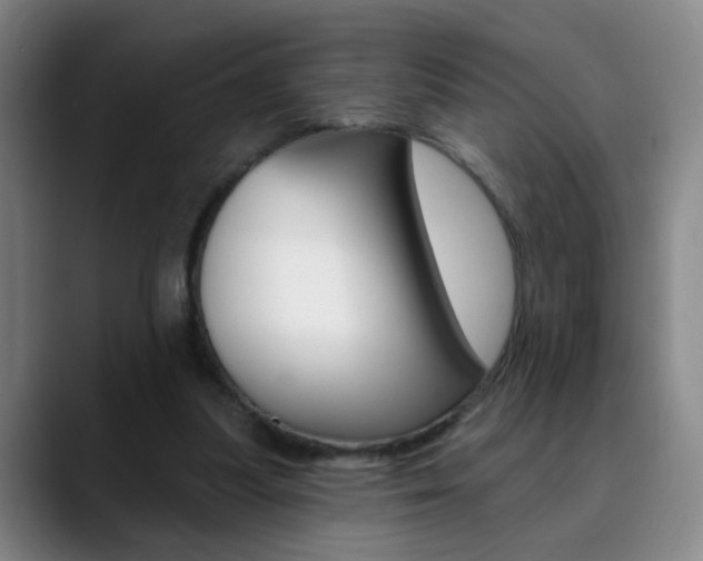 X0000090500251200707130954