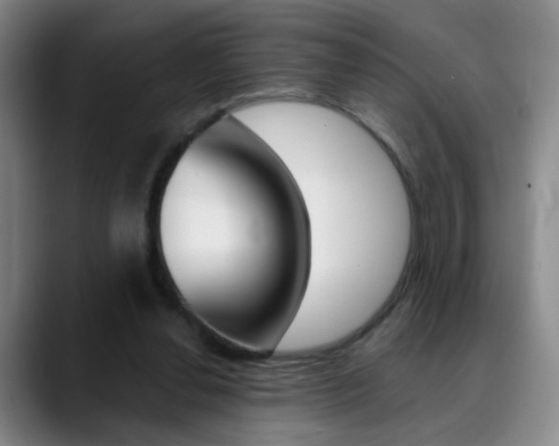 X0000090500252200707130954