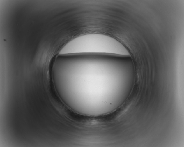 X0000090500254200707130954