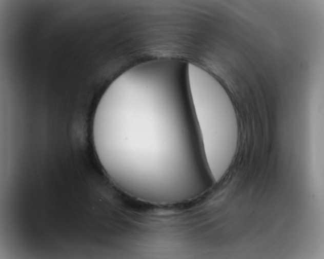 X0000090500255200707130954
