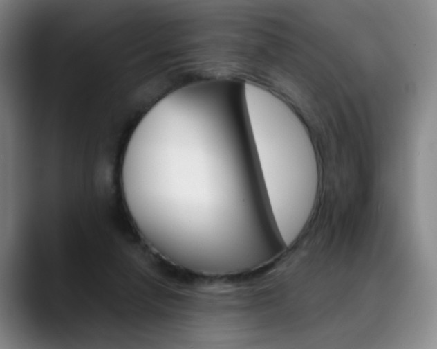 X0000090500258200707130954