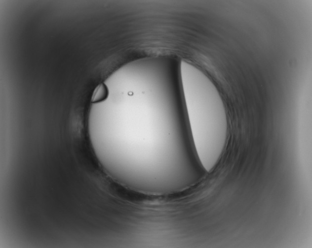 X0000090500259200707130954