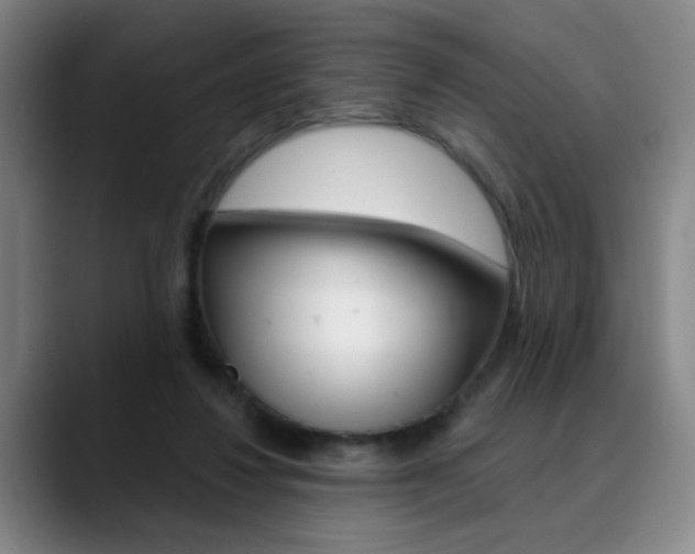 X0000090500260200707130954