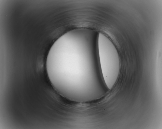 X0000090500261200707130954