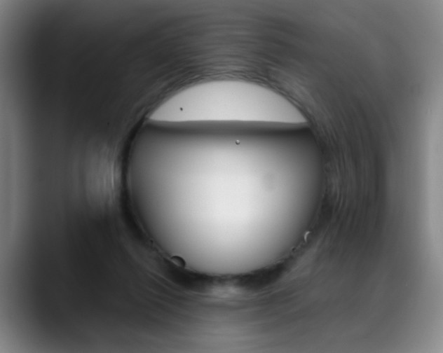 X0000090500262200707130954