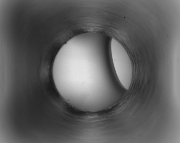 X0000090500263200707130954