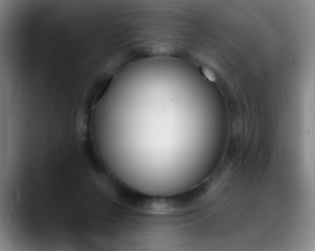 X0000090500264200707130954