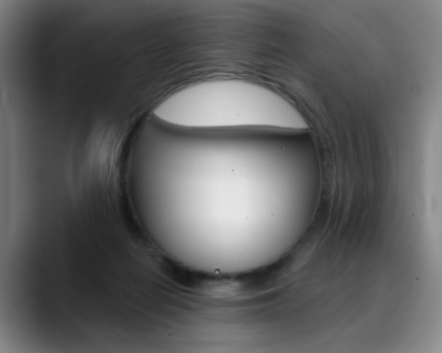 X0000090500266200707130955