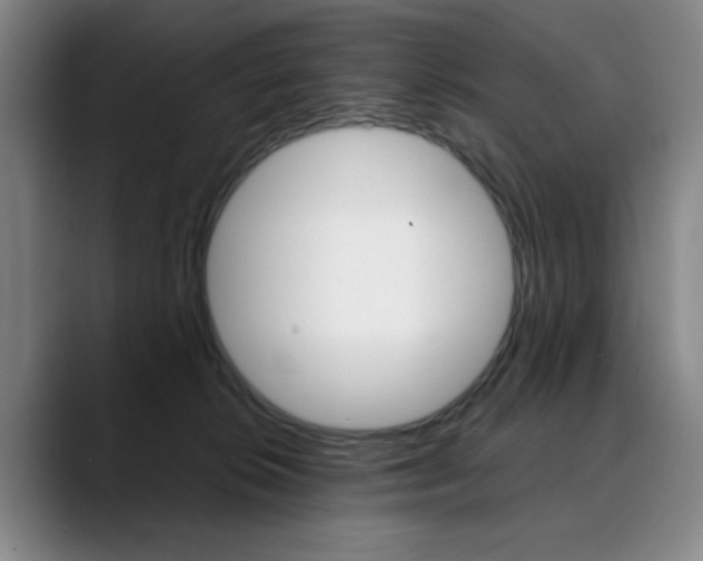X0000090500276200707130955