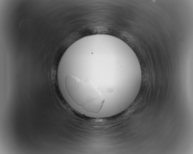 X0000090500281200707130955