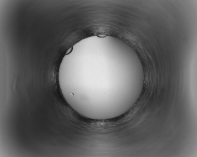 X0000090500282200707130955