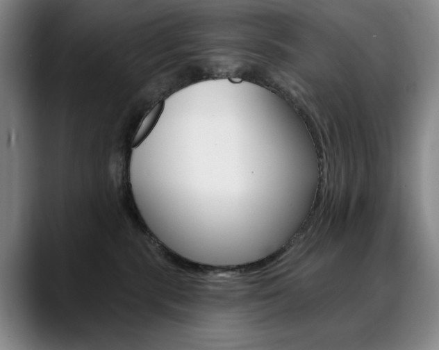 X0000090500283200707130955