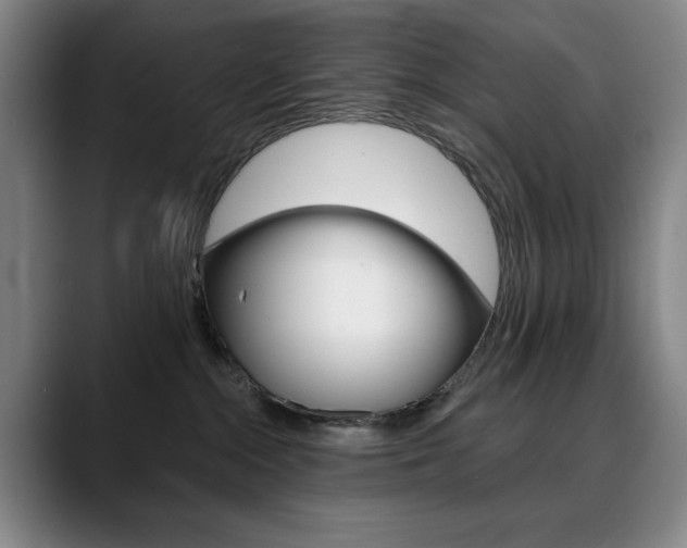 X0000090500284200707130955