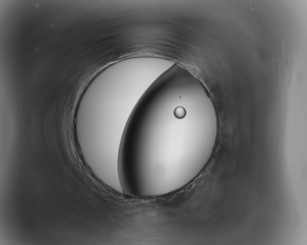 X0000090500289200707130954