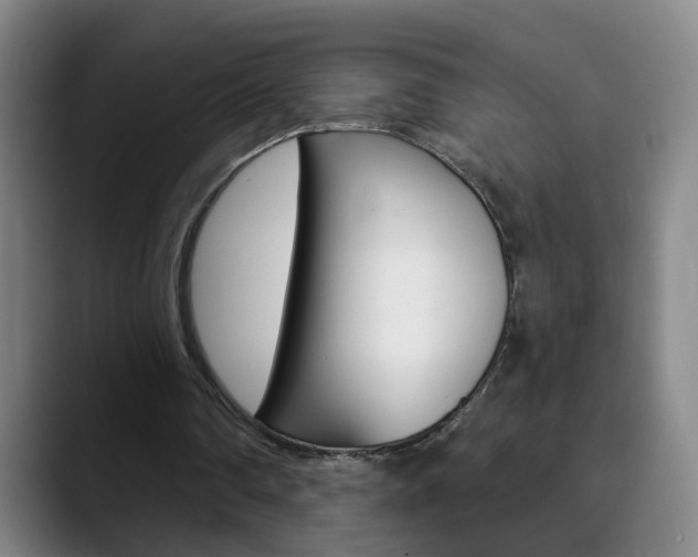 X0000090500290200707130954