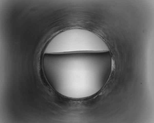 X0000090500291200707130954
